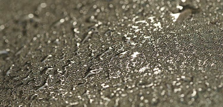 為什么滴露免洗洗手液用disk-diffusion method 實驗結(jié)果顯示不抑菌 ?簡述滅菌效果檢測的內(nèi)容 