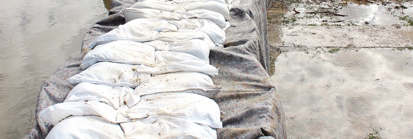 微波爐的滅菌效果到底如何 ?電器做除菌性能測試，用什么測試設備 