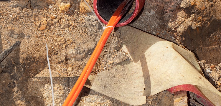 公共衛(wèi)生檢測項目及標準有哪些？