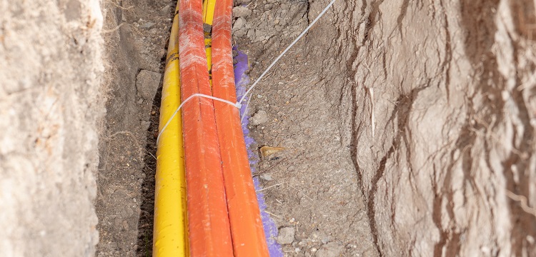 運輸鑒定報告和分類鑒定報告的區(qū)別?產(chǎn)品出口寄件 貨物運輸鑒定報告書辦理 健明迪檢測