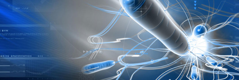 細菌內(nèi)毒素檢測