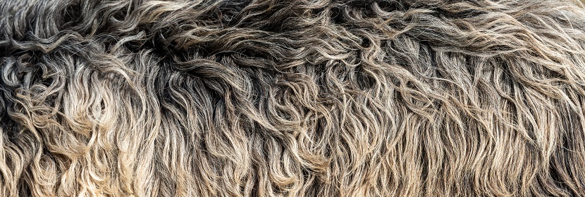 毛皮耐熨燙色牢度試驗(yàn)